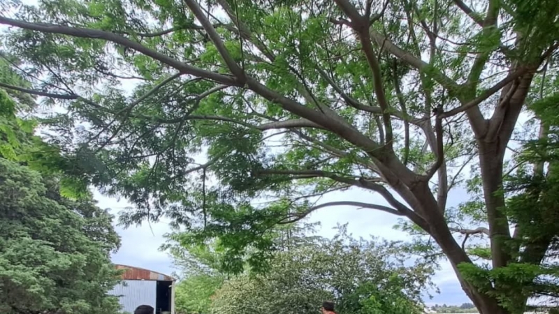 Salida Educativa de tercer grado a Colonia Caroya 2025